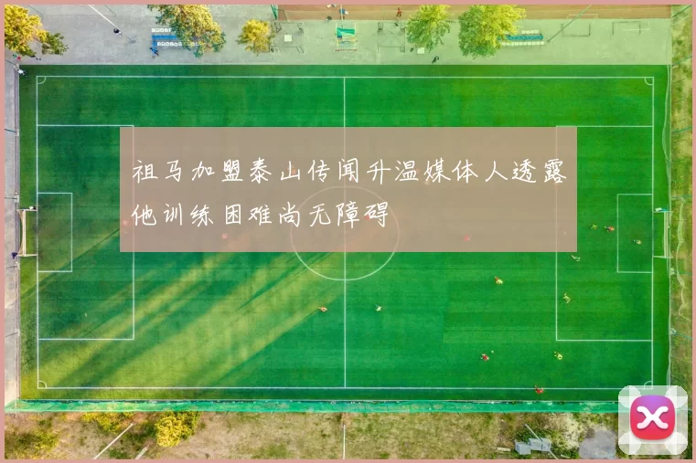祖马加盟泰山传闻升温媒体人透露他训练困难尚无障碍